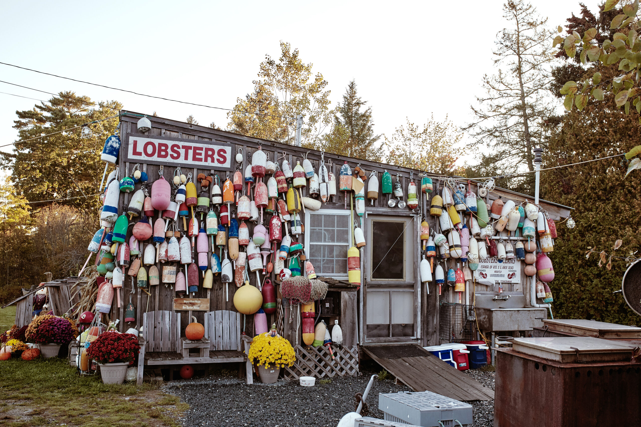 maine lobster shack