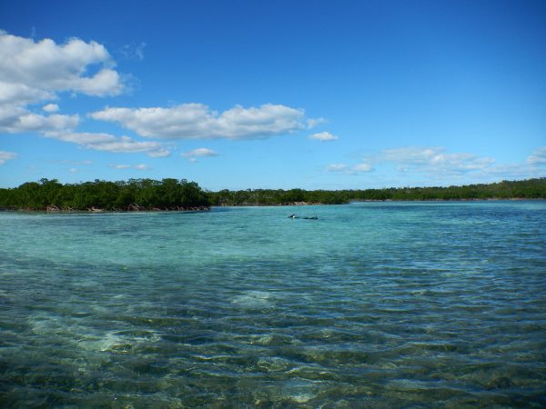 The mangrove-lined estuary on Abaco Island in the Bahamas.