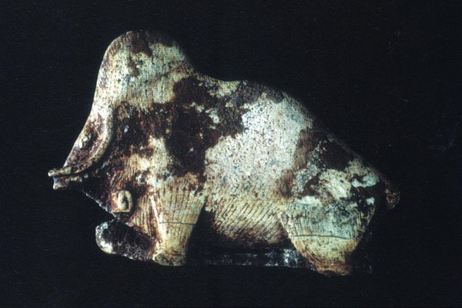 Mammoth Bison carved illusion