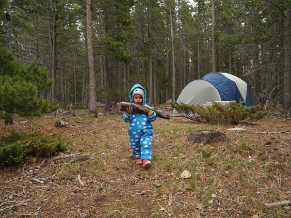 child carrying a log in woods.