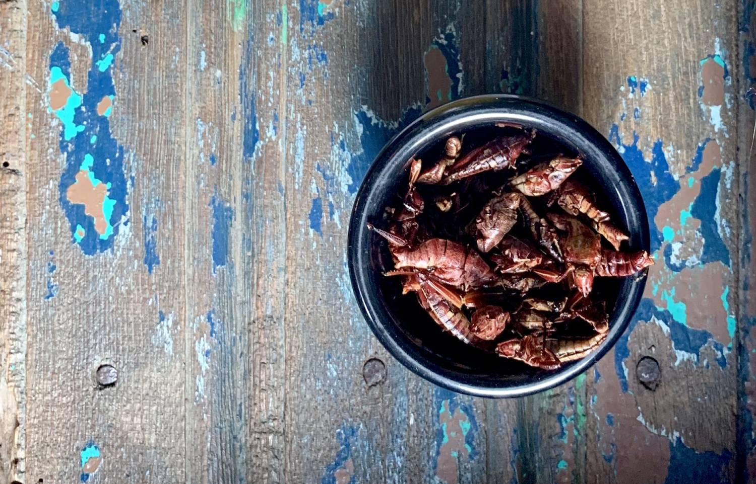 Bowl of chapulines