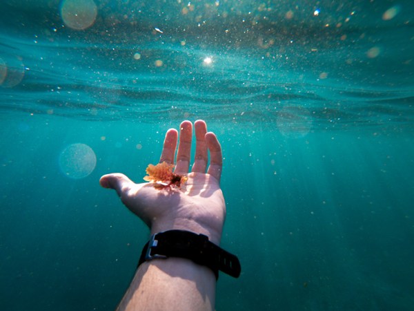 hand underwater with a watch