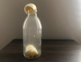 Stay-at-home science project: Use fire to push an egg into a bottle