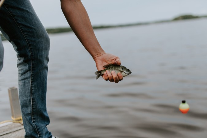 a person holding a small fish while standing on a dock on a lake