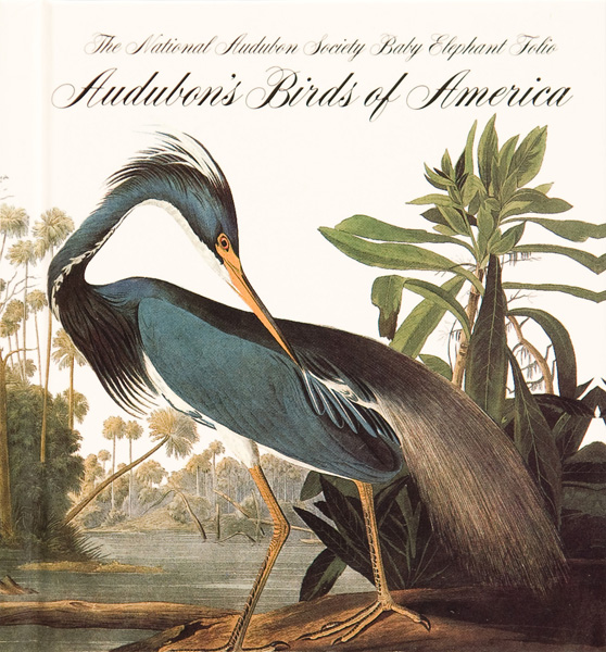 Audubon’s Birds of America