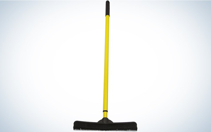  Evriholder FURemover SW-250I-AMZ-6, Pet Hair Removal Broom with Squeegee