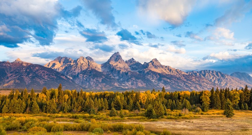 A National Park mountain range against clear blue and lightly clouded skies overlooking a wooded forest area.