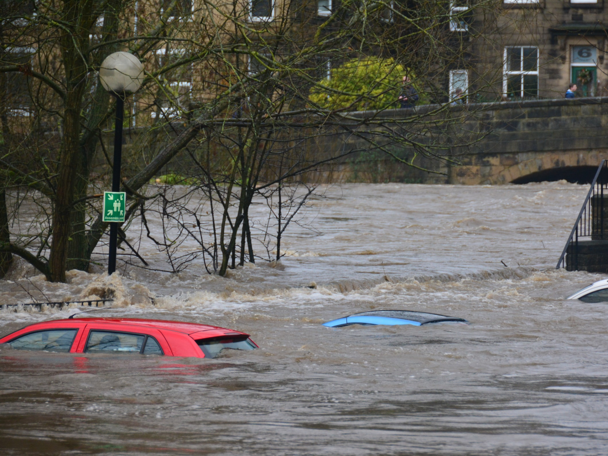 cars flooded by water