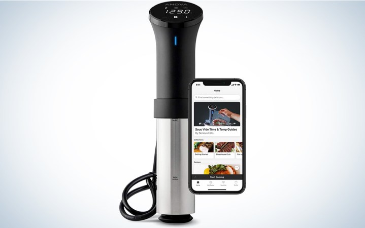  Anova Culinary AN500-US00 Sous Vide Precision Cooker