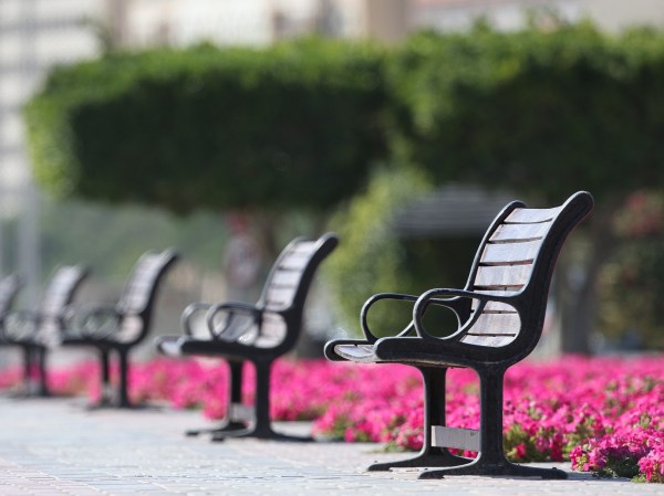 empty benches at a park