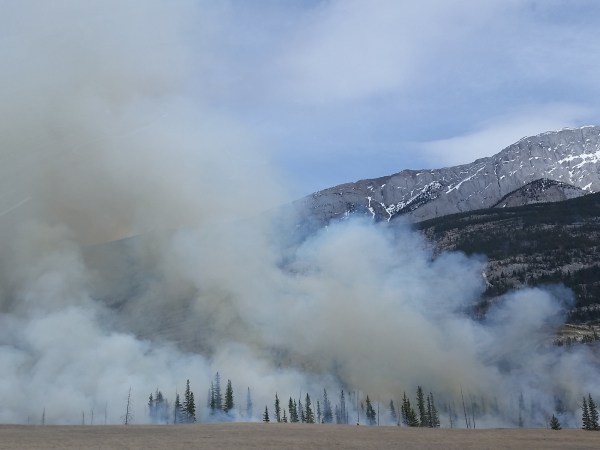 smoke rising from forest fire with mountain in background