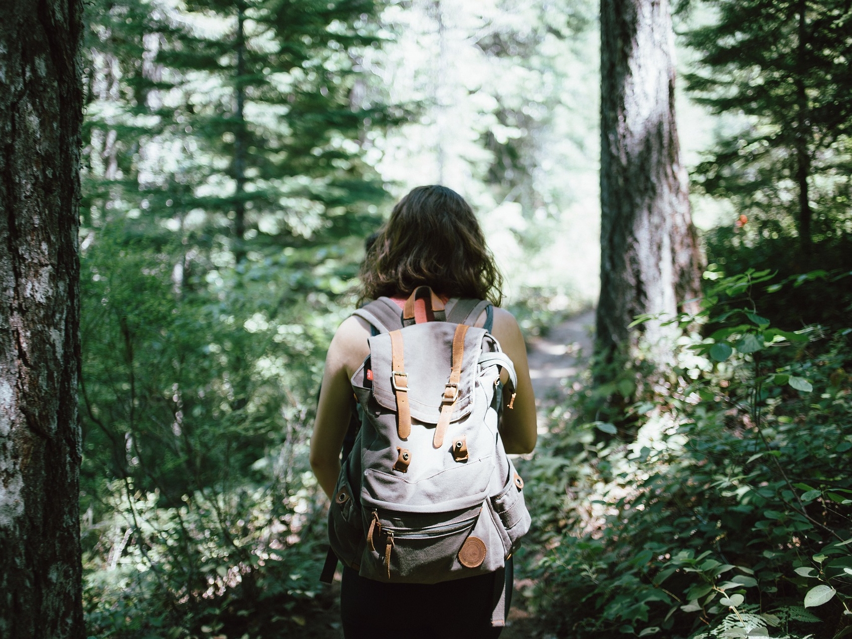 Nature walks can trigger feelings of awe, but you can achieve the feeling inside, too.