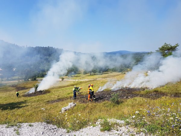 firefighters standing in a field full of small plumes of smoke