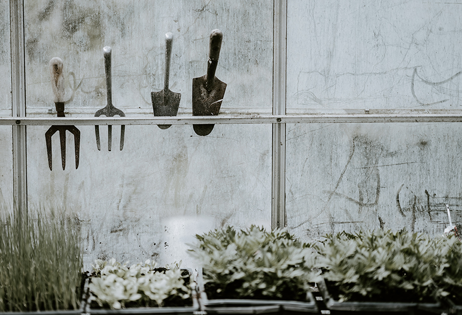 tools in a greenhouse