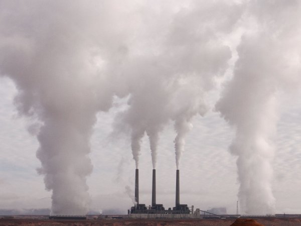 smoke stacks from energy plant