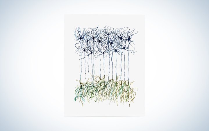  neuron print