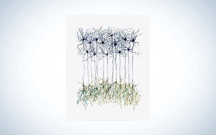  neuron print