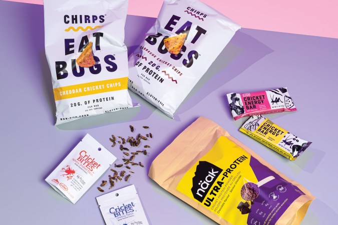 edible bug snacks