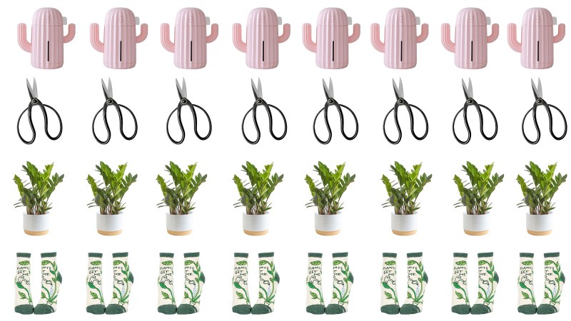Four rows of repeated gifts for new plant parents: a pink cactus humidifer, bonsai scissors, a green ZZ plants in a white pot, and green and white plant lover socks.