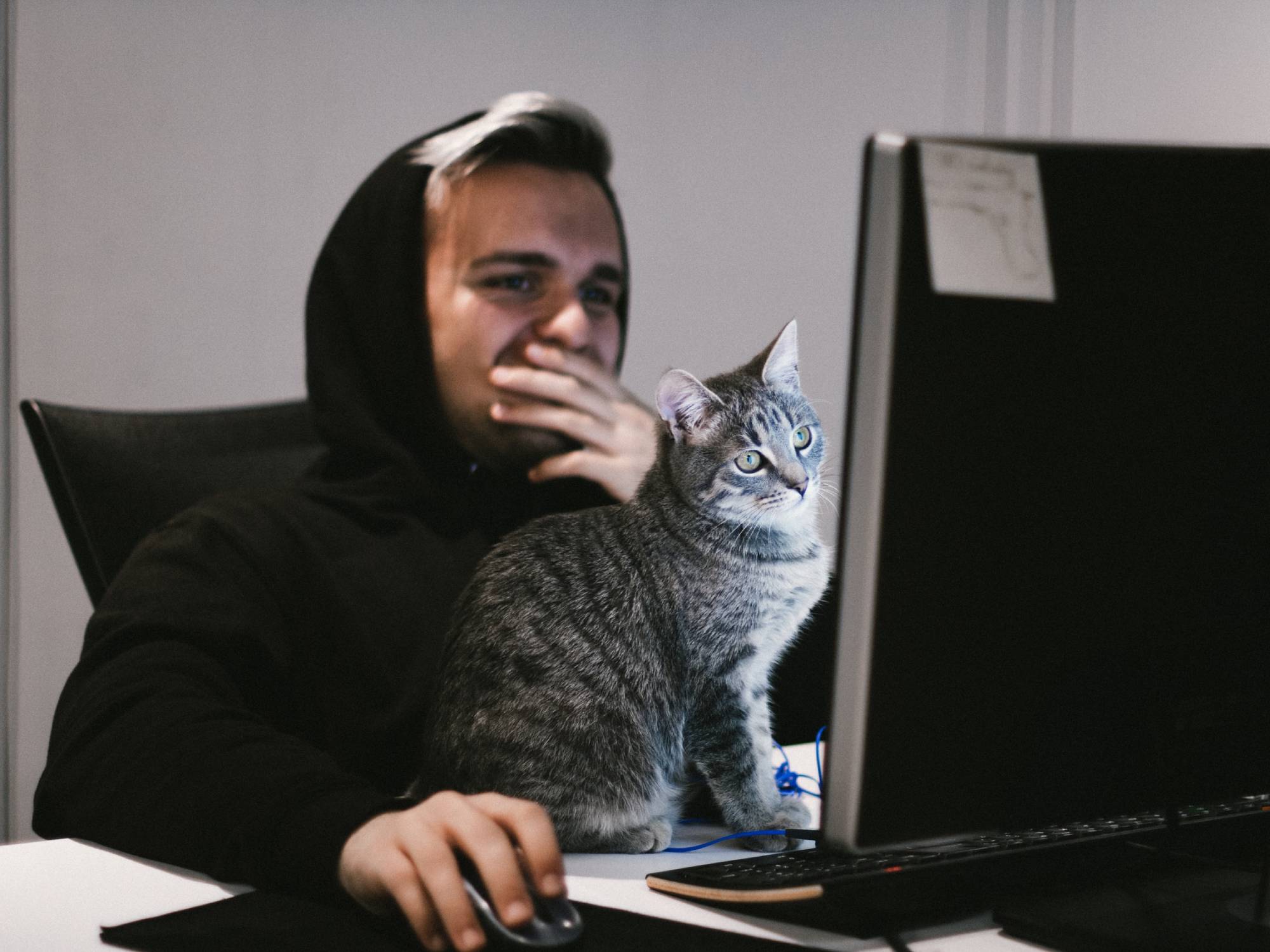 Person at computer with cat