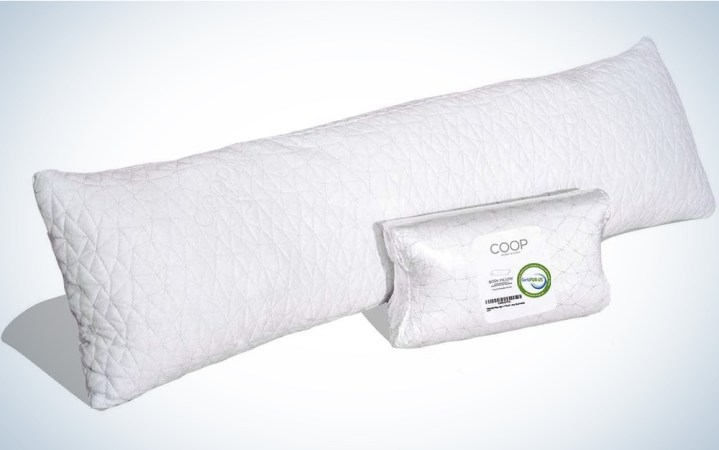 Coop Home Goods Adjustable Body Pillow 
