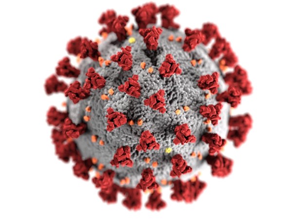 novel coronavirus