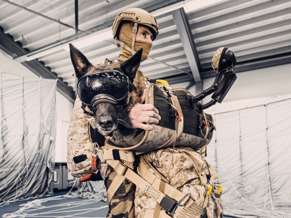 A dog in a Paratec dog parachuting harness.