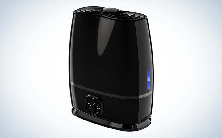  The Everlasting Comfort Cool Mist Humidifier is the best overall.