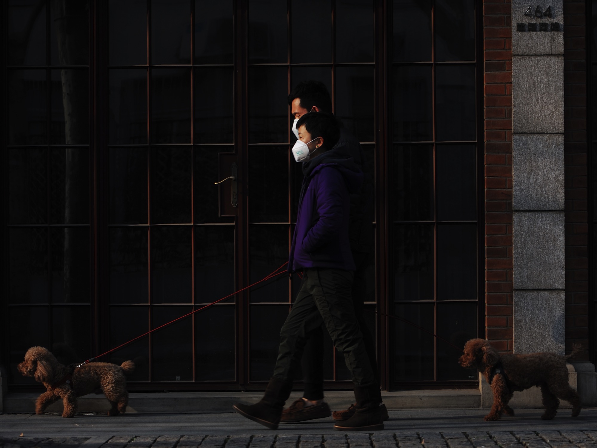 people wearing masks walking their dogs