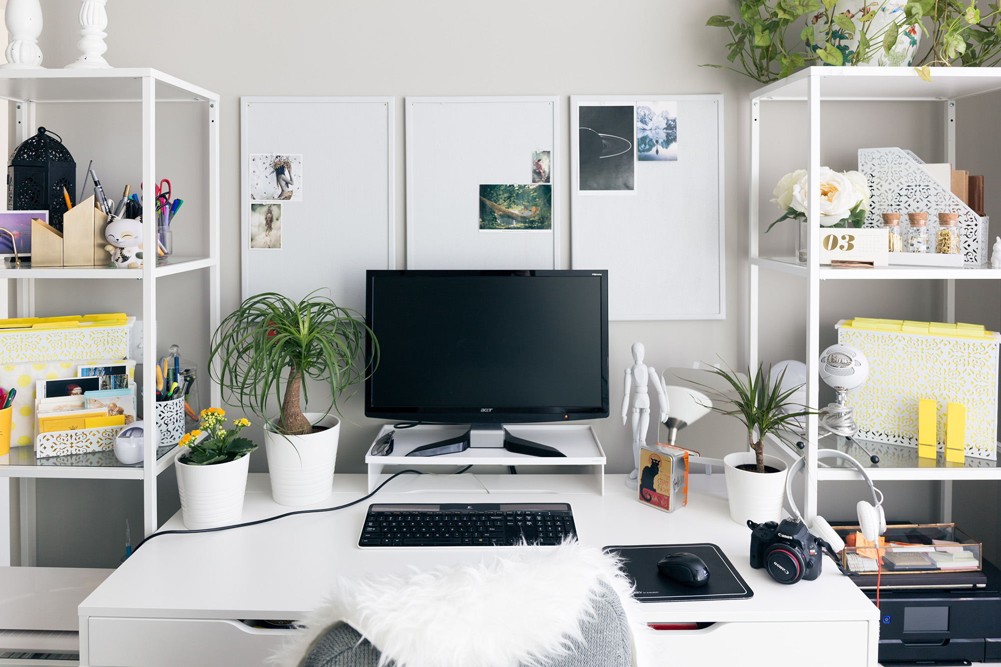 office workspace with a computer on a desk, plants, and two storage shelves beside the desk