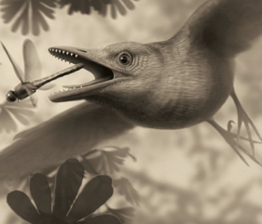 A reimagined prehistoric bird chasing a dragonfly over plants