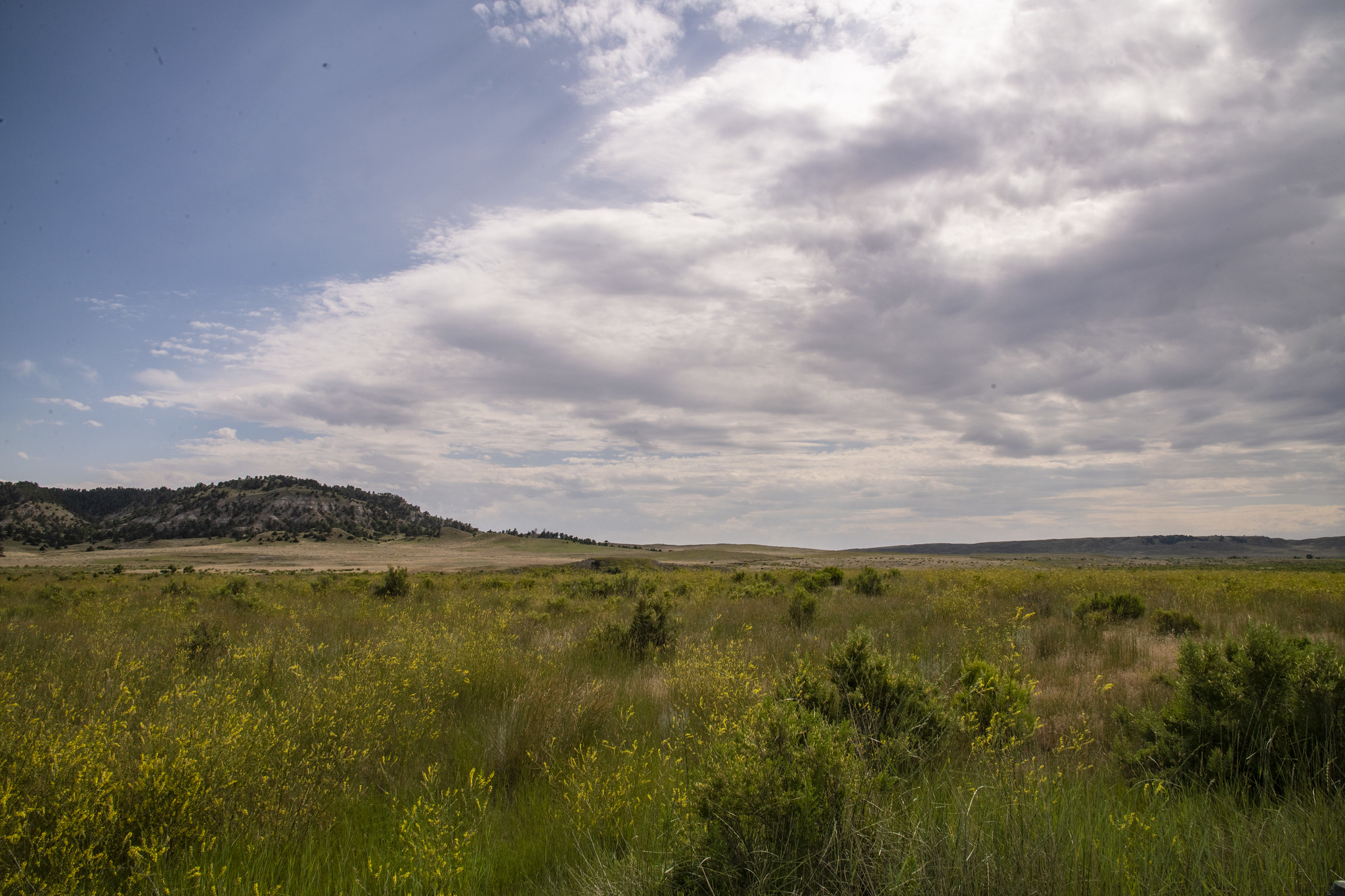 thunder basin national grassland