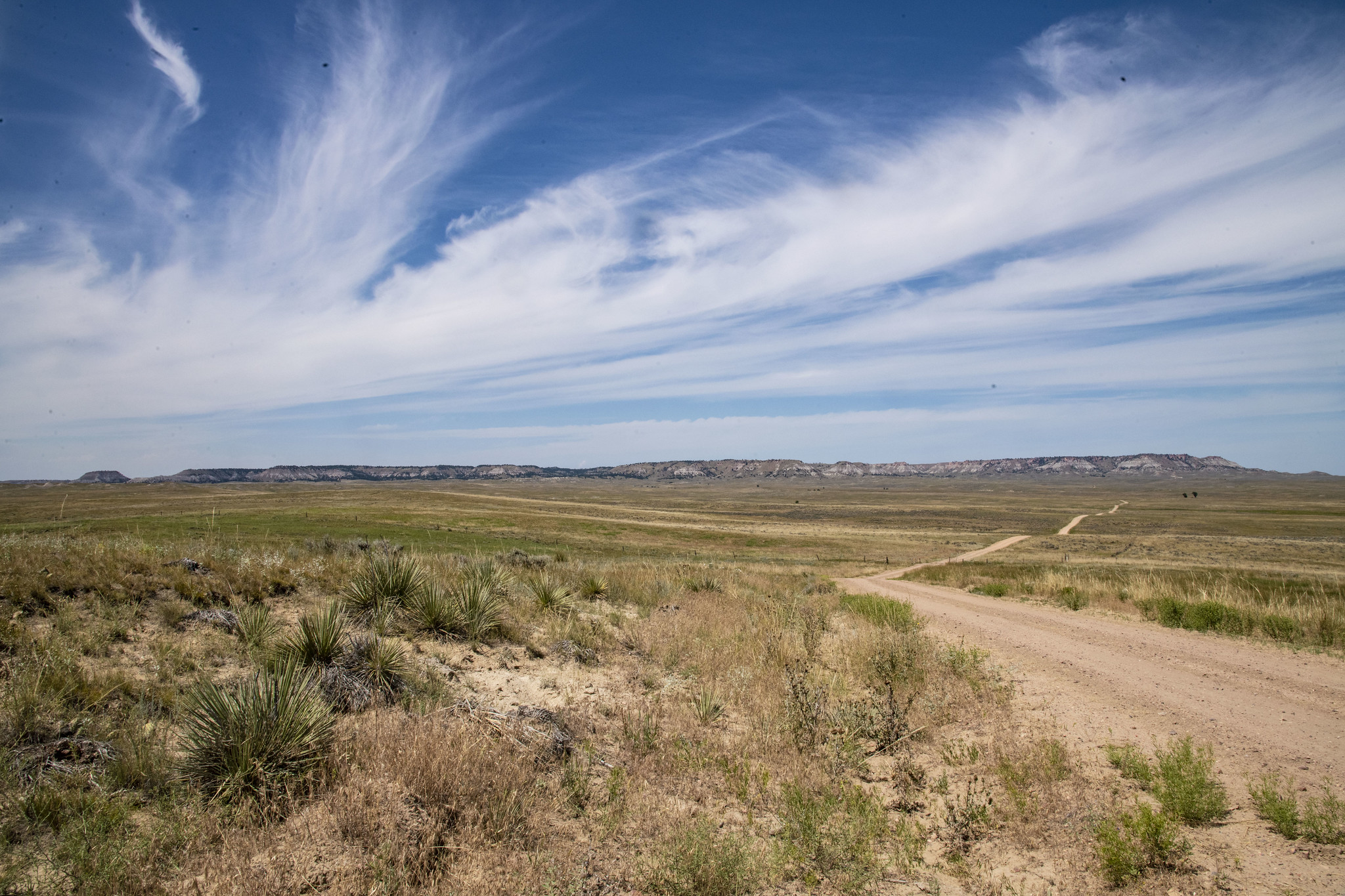 thunder basin national grassland