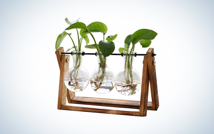  Terrarium Planter Tabletop Hydroponics Decoration