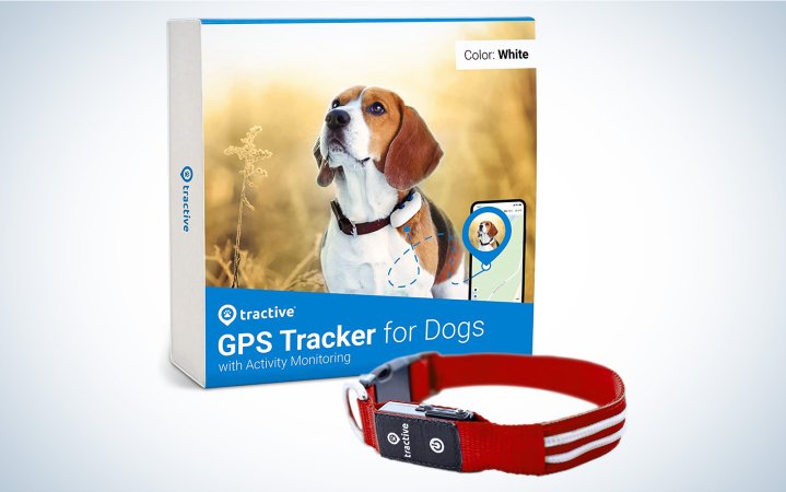  Tractive GPS dog collar