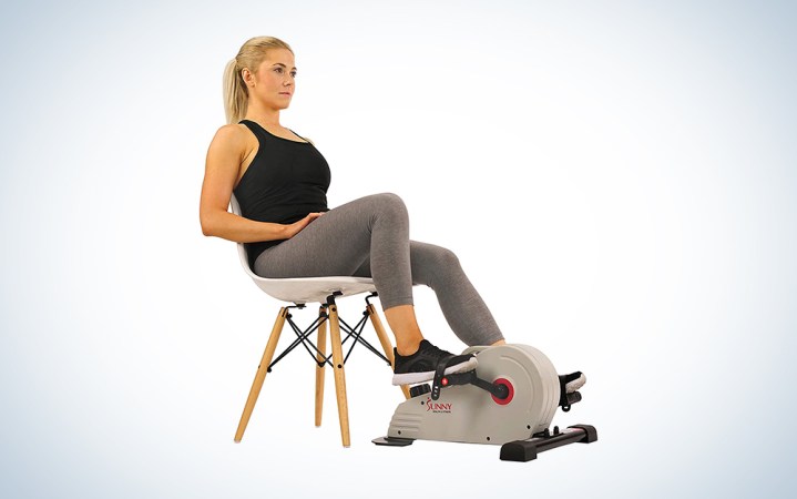  Sunny Health & Fitness Magnetic Mini Exercise Bike