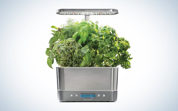  smart garden with plants growing out of it is one of the best birthday gift ideas for men