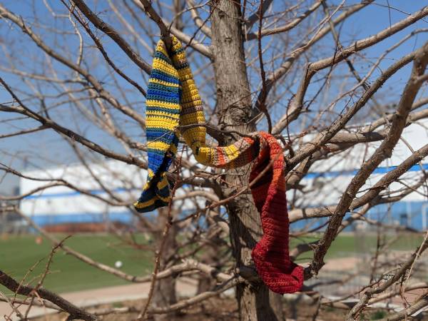 Temperature scarf hanging from a tree