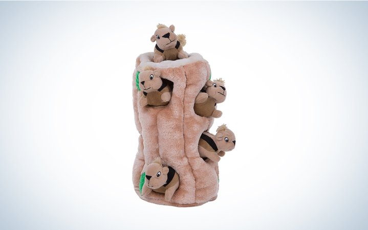  squirrel and log dog puzzle toy