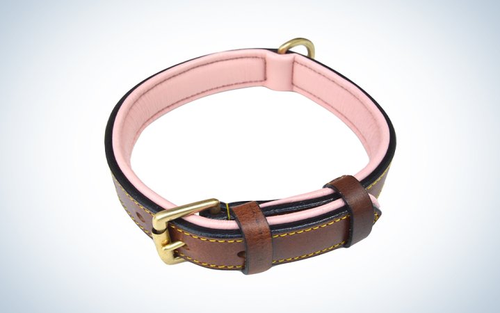  leather dog collar