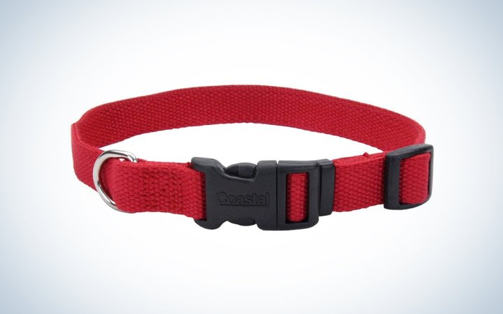  best dog collars on a budget