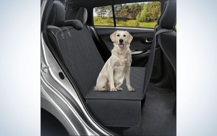  Big white dog standing inside the car over the grey cover seat.