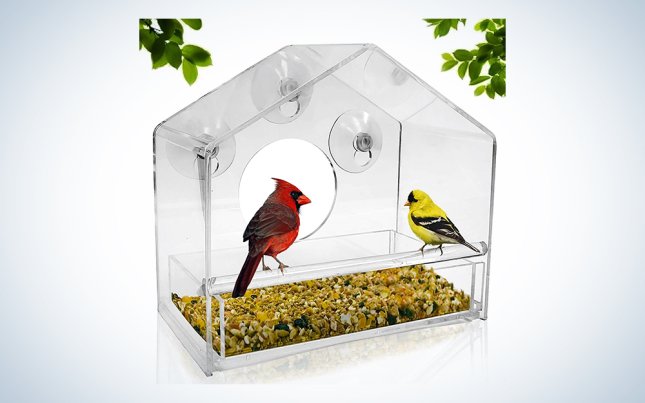 see through bird feeder