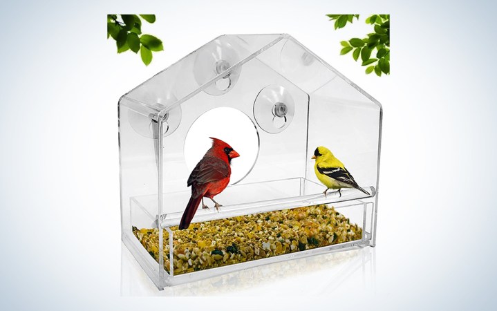  see through bird feeder