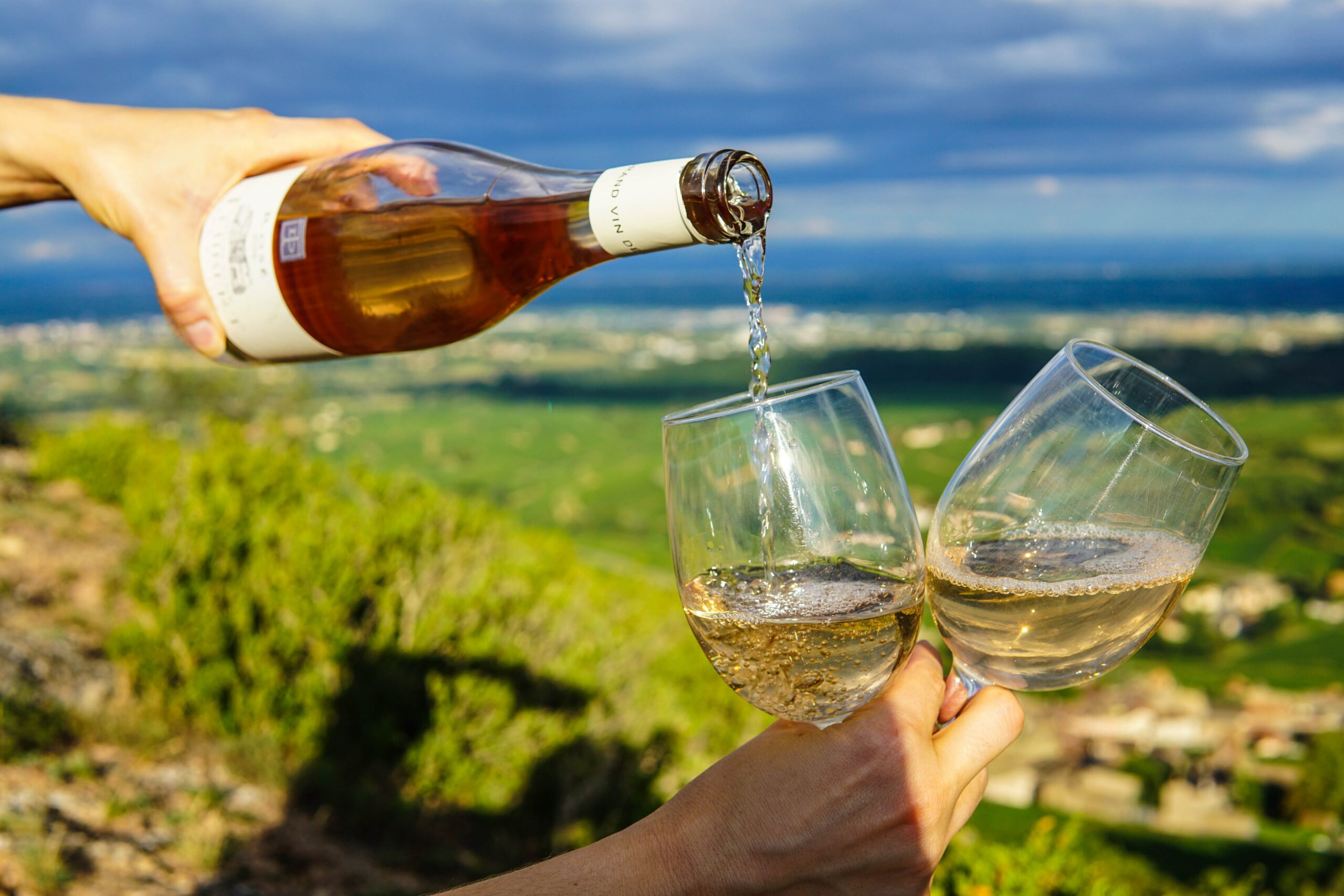 Wine being poired into glasses overlooking natural landscape.