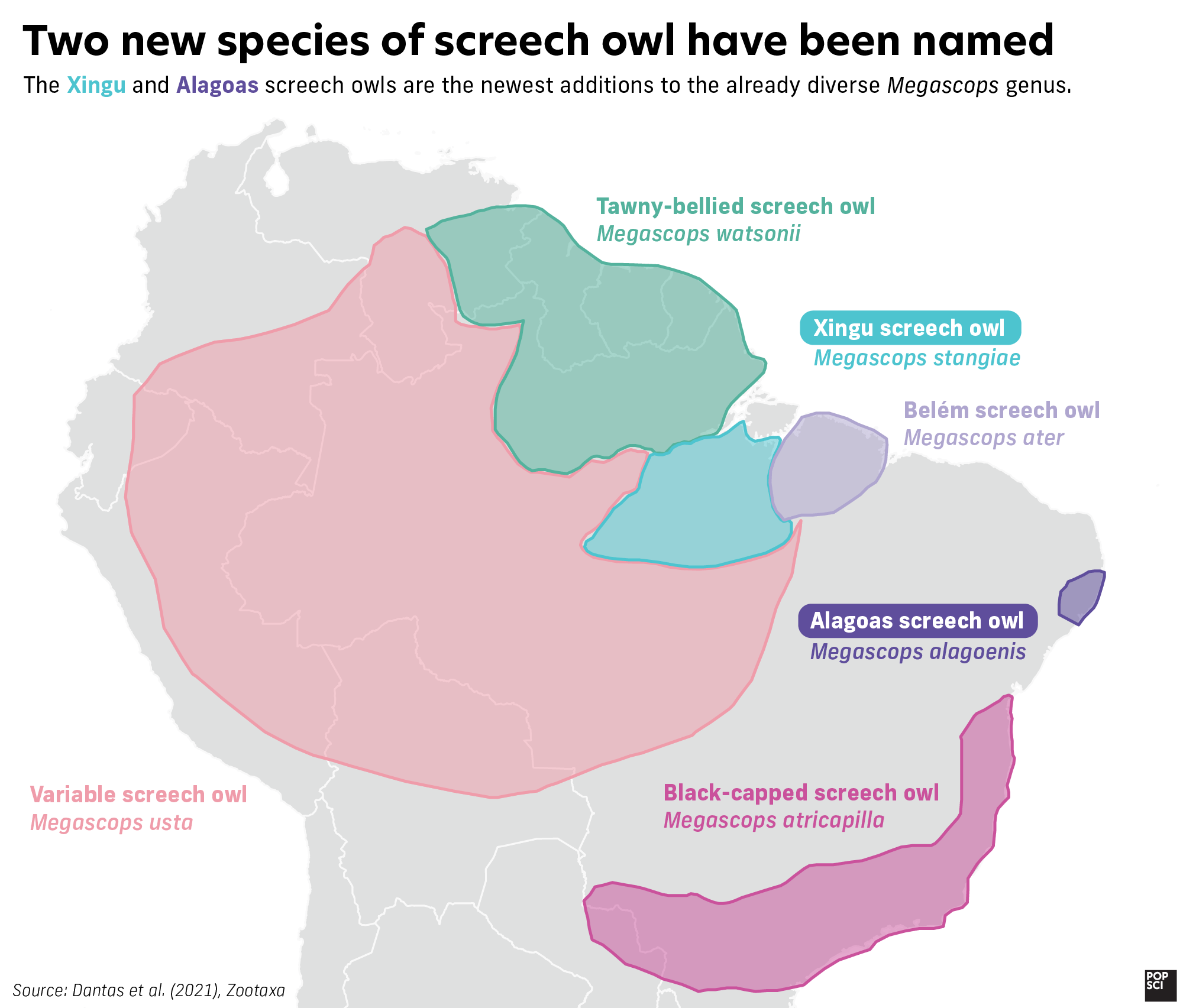 map of screech owl ranges