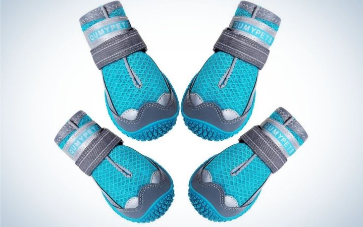  Four blue and grey pair of socks with reflective and adjustable straps.