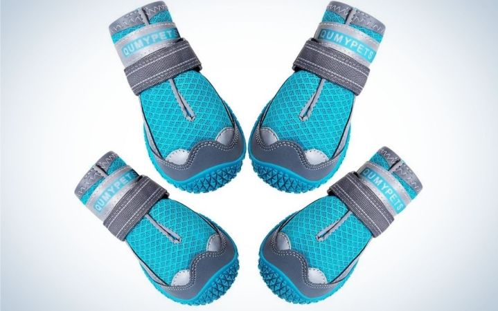  Four blue and grey pair of socks with reflective and adjustable straps. 