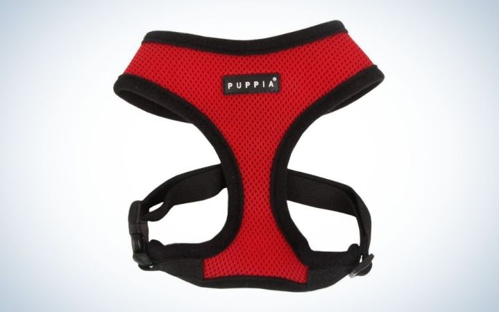  Red and black dog harness with adjustable chest belt and quick release buckle