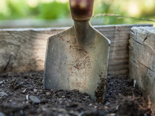 Bacteria wars are raging in soil, and it’s keeping ecosystems healthy